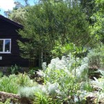 Herb Society Garden at Araluen