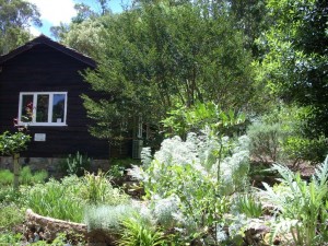 Herb Society Garden at Araluen